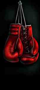 \"boxing